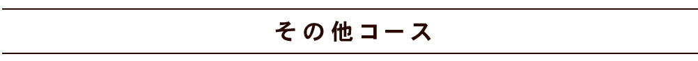 その他コース