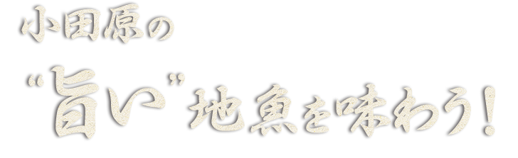 小田原の ”旨い” 地魚を味わう！